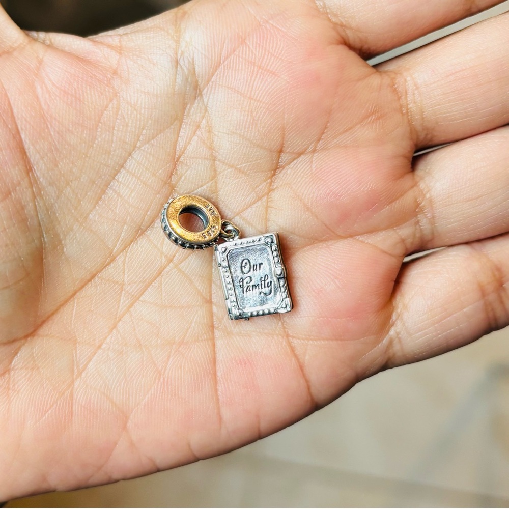 Mother’s Day Gift ❤️Pandora Our Family Book Charm Pendant